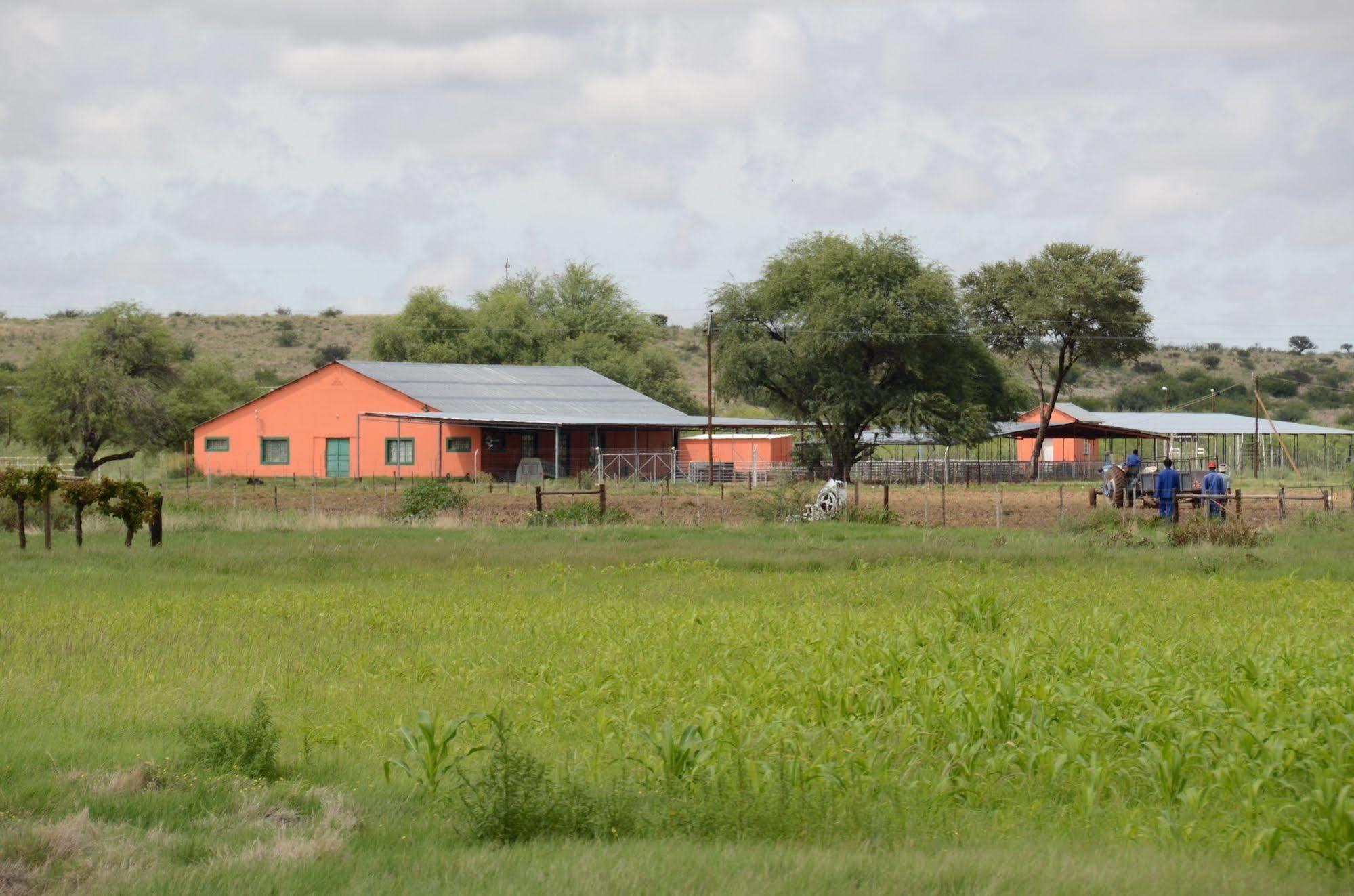 Kalahari Farmhouse, Namibia Mariental Esterno foto
